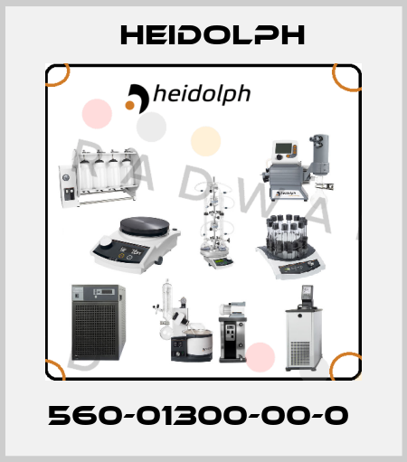 560-01300-00-0  Heidolph