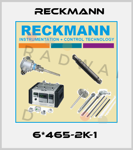 6*465-2K-1  Reckmann
