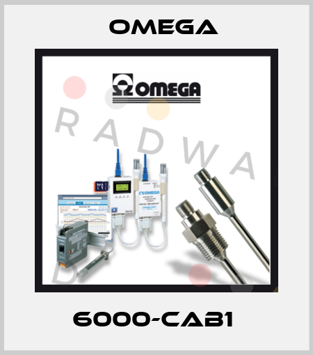 6000-CAB1  Omega