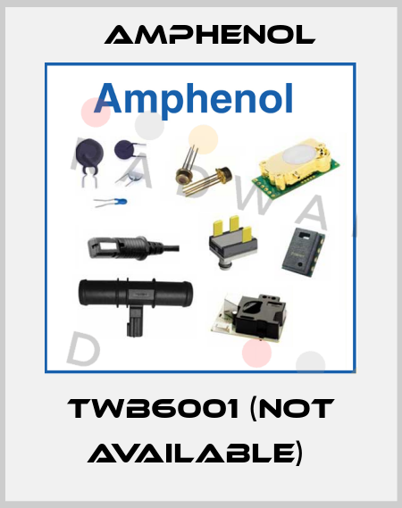 TWB6001 (not available)  Amphenol