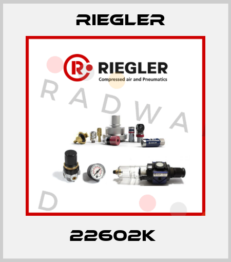 22602K  Riegler