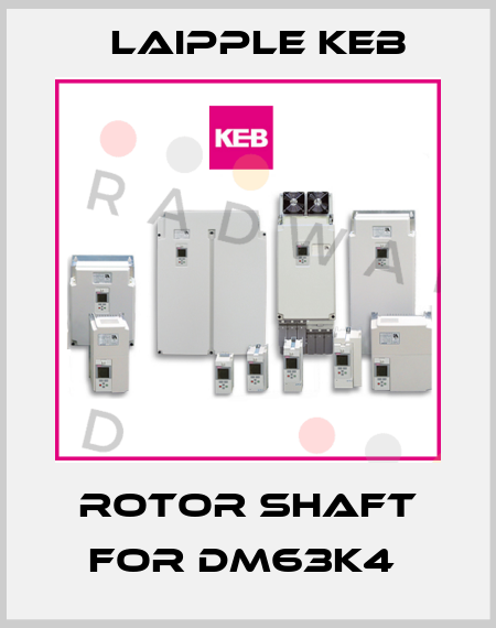 Rotor Shaft For DM63K4  LAIPPLE KEB