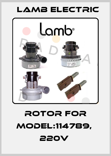 Rotor for Model:114789,  220V  Lamb Electric