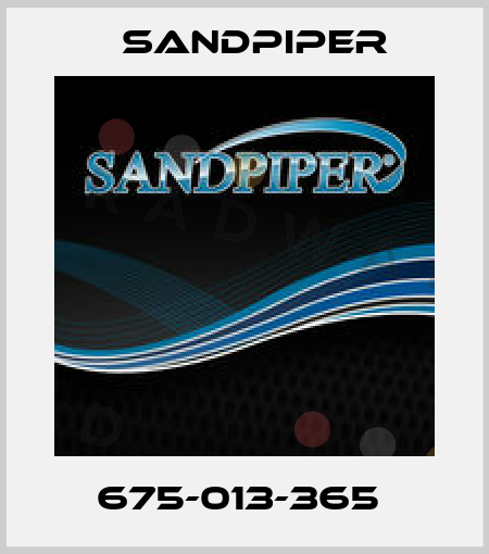 675-013-365  Sandpiper