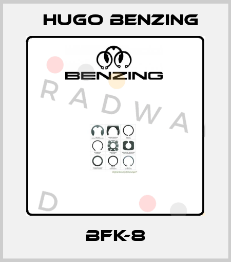 BFK-8 Hugo Benzing