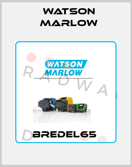 BREDEL65  Watson Marlow