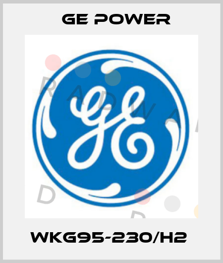 WKG95-230/H2  GE Power