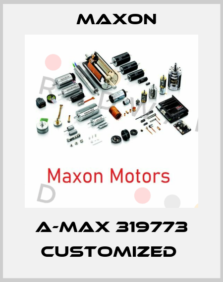 A-max 319773 customized  Maxon