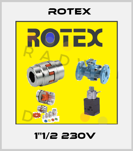 1"1/2 230V  Rotex