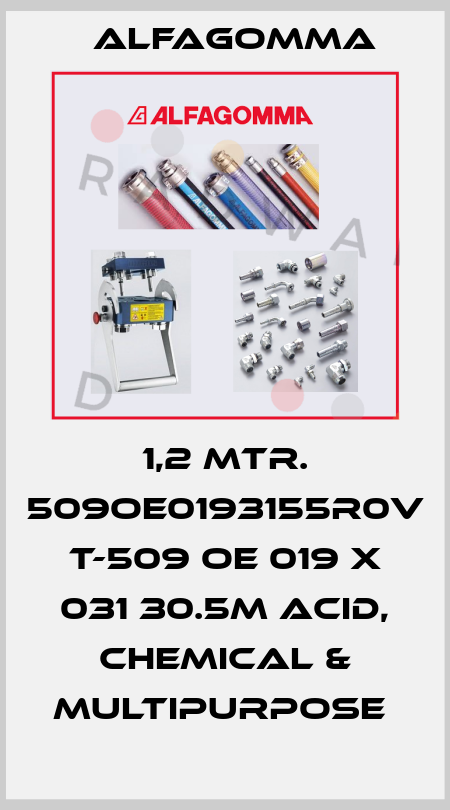 1,2 MTR. 509OE0193155R0V T-509 OE 019 X 031 30.5M ACID, CHEMICAL & MULTIPURPOSE  Alfagomma