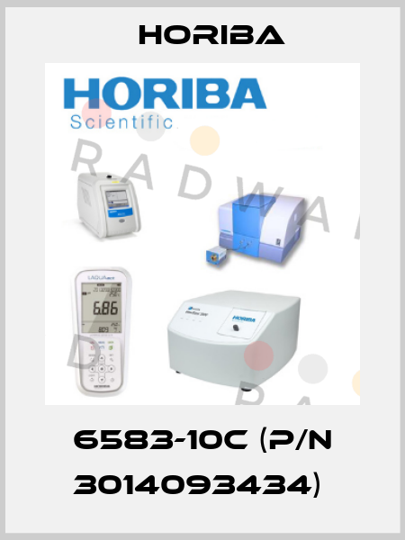 6583-10C (P/N 3014093434)  Horiba