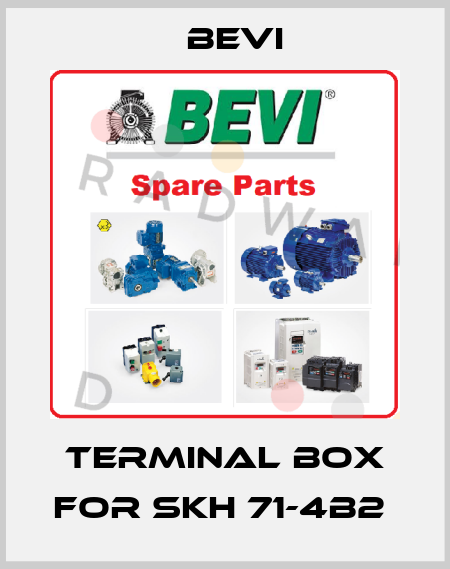 Terminal box for SKh 71-4B2  Bevi