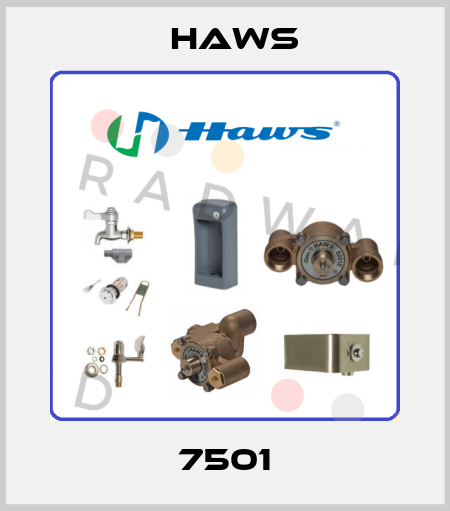 7501 Haws