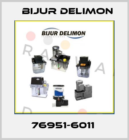 76951-6011  Bijur Delimon