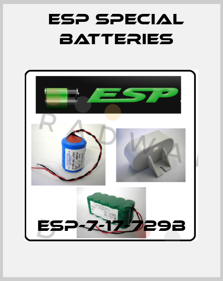 ESP-7-17-729B ESP Special Batteries