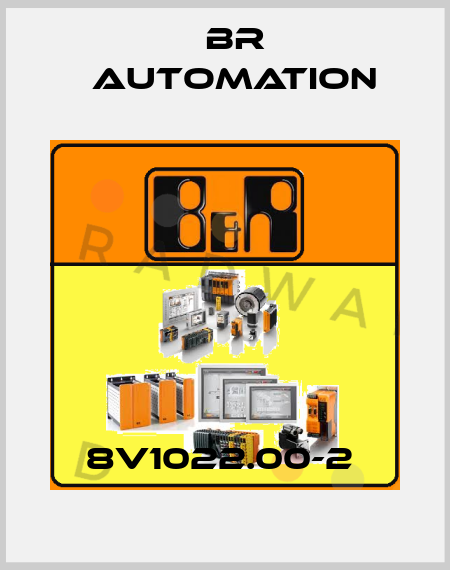 8V1022.00-2  Br Automation