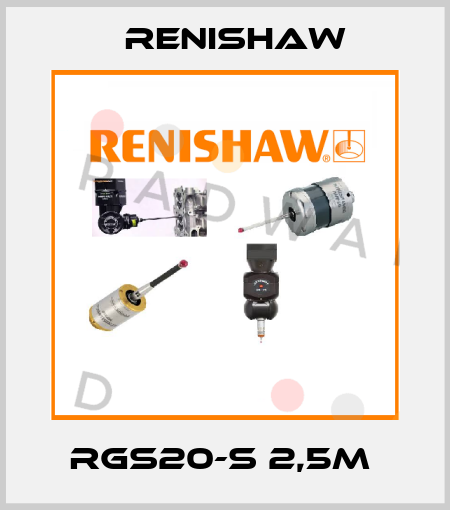 RGS20-S 2,5m  Renishaw