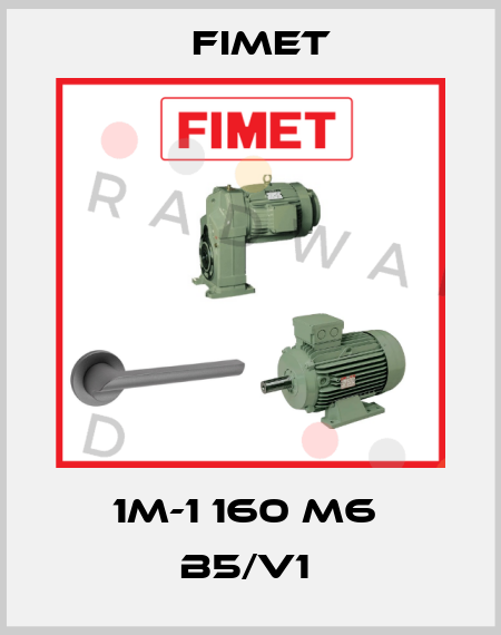 1M-1 160 M6  B5/V1  Fimet
