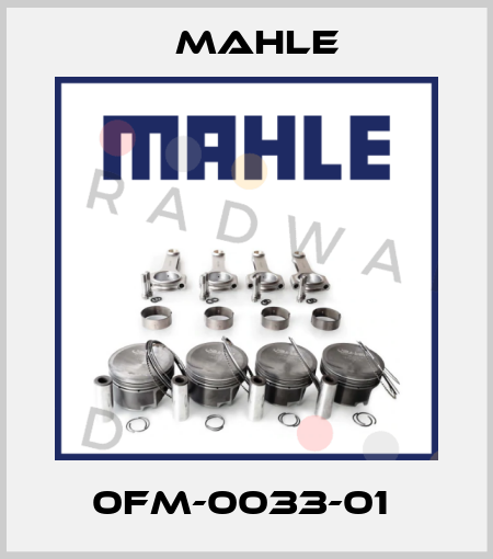 0FM-0033-01  MAHLE