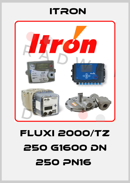 FLUXI 2000/TZ 250 G1600 DN 250 PN16  Itron