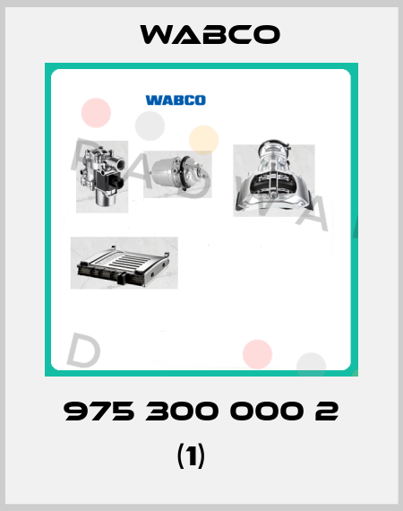 975 300 000 2 (1)   Wabco