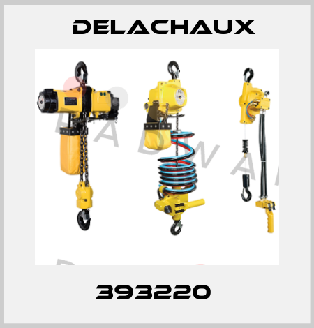 393220  Delachaux