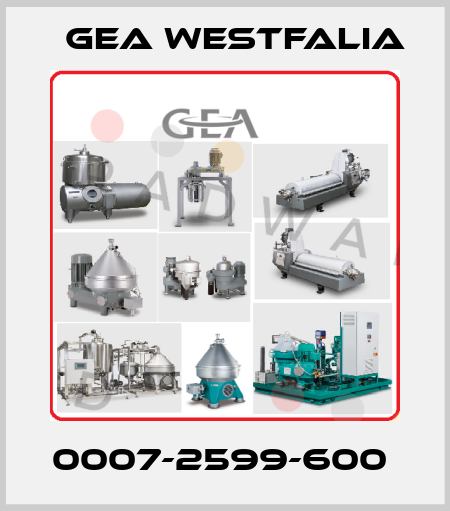 0007-2599-600  Gea Westfalia