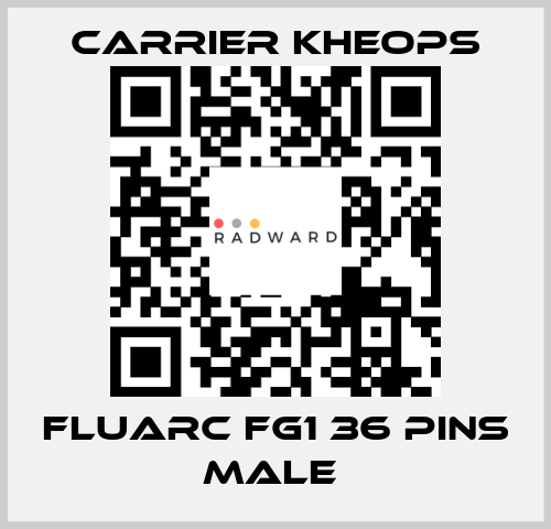 Fluarc FG1 36 Pins Male  Carrier Kheops