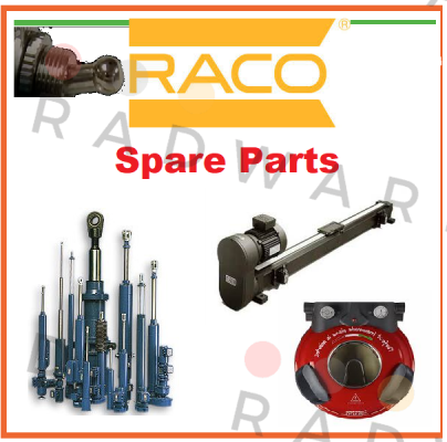 K55p5851  RACO