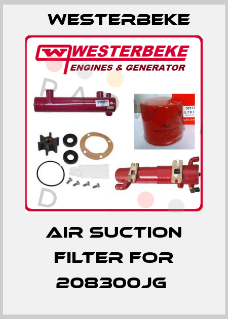 Air suction filter for 208300JG  Westerbeke