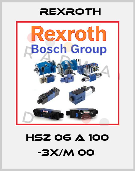 HSZ 06 A 100 -3X/M 00  Rexroth