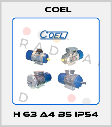H 63 A4 B5 IP54 Coel