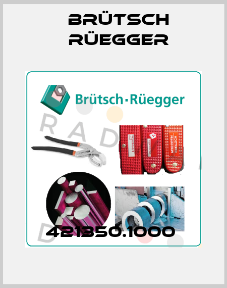 421350.1000  Brütsch Rüegger