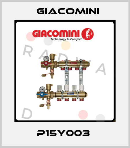 P15Y003  Giacomini