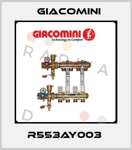 R553AY003  Giacomini
