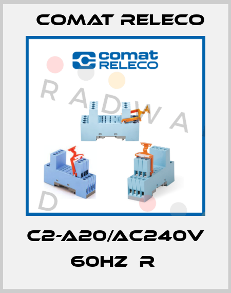 C2-A20/AC240V 60HZ  R  Comat Releco