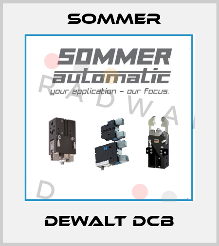 DeWalt DCB Sommer