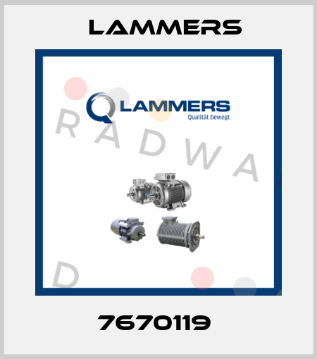 7670119  Lammers