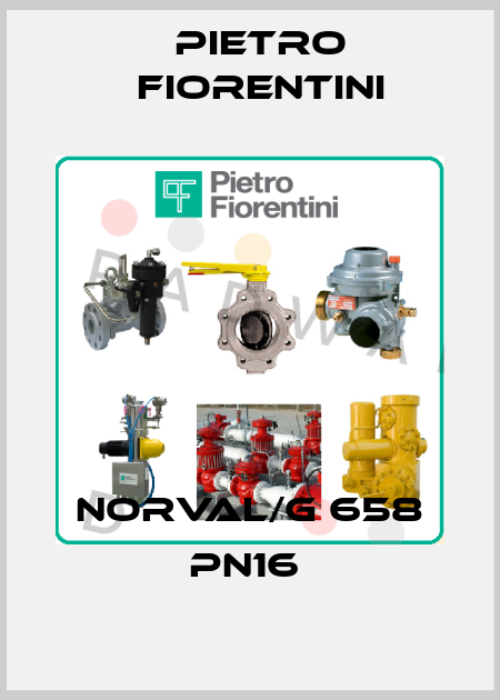 NORVAL/G 658 PN16  Pietro Fiorentini
