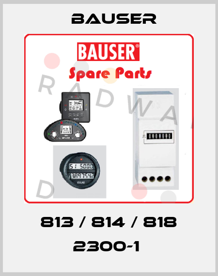813 / 814 / 818 2300-1  Bauser