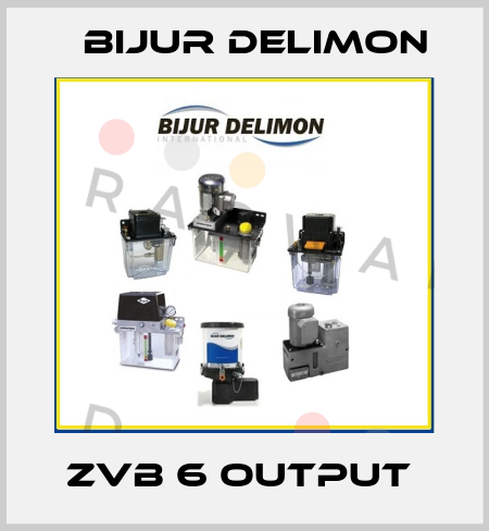 ZVB 6 Output  Bijur Delimon