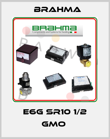 E6G SR10 1/2 GMO  Brahma