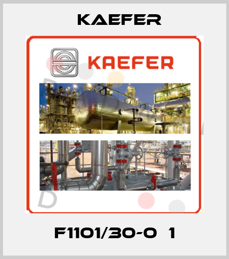 F1101/30-0б1 Kaefer