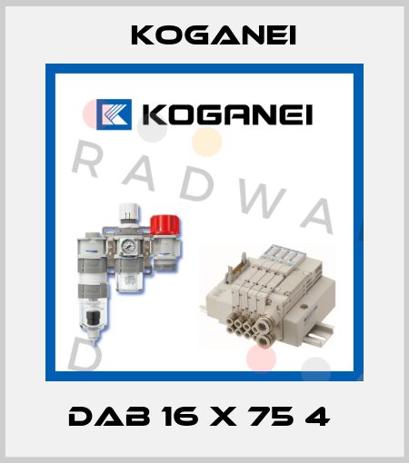 DAB 16 X 75 4  Koganei