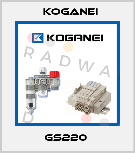 GS220  Koganei