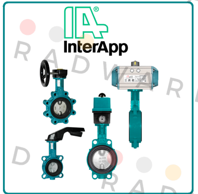 A324EC DN150 PN16  InterApp