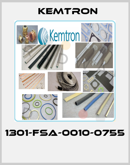 1301-FSA-0010-0755  KEMTRON