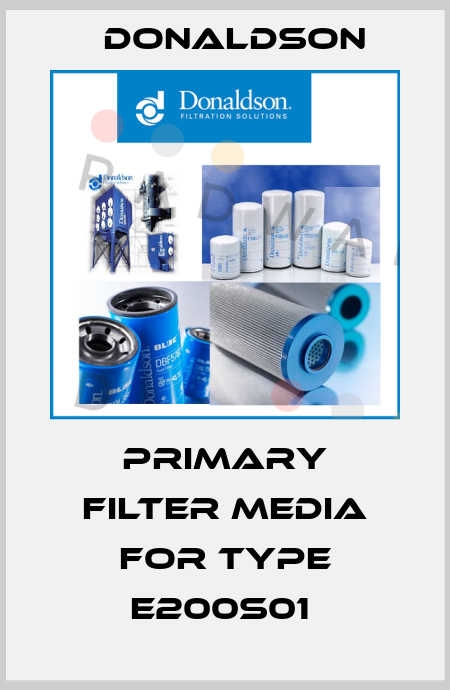 Primary Filter Media for type E200S01  Donaldson