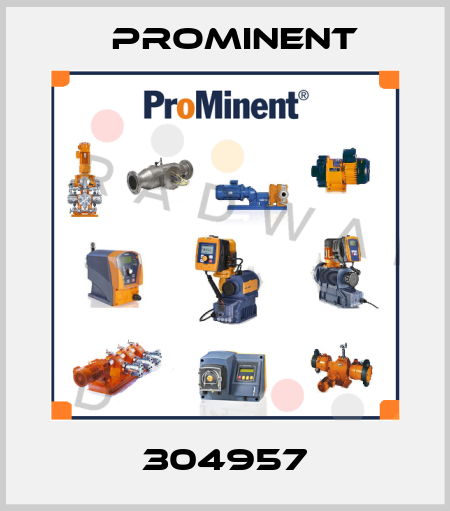 304957 ProMinent