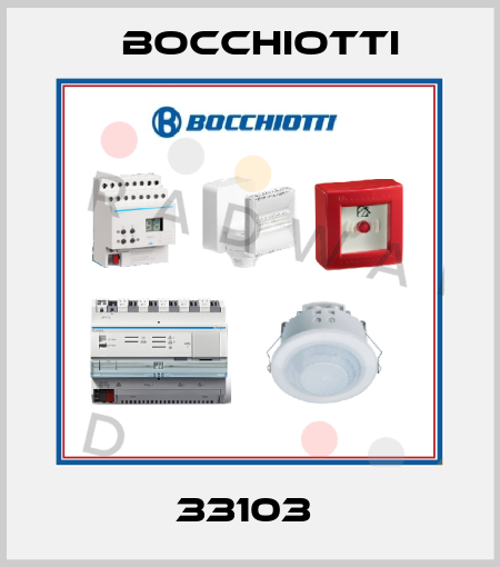 33103  Bocchiotti